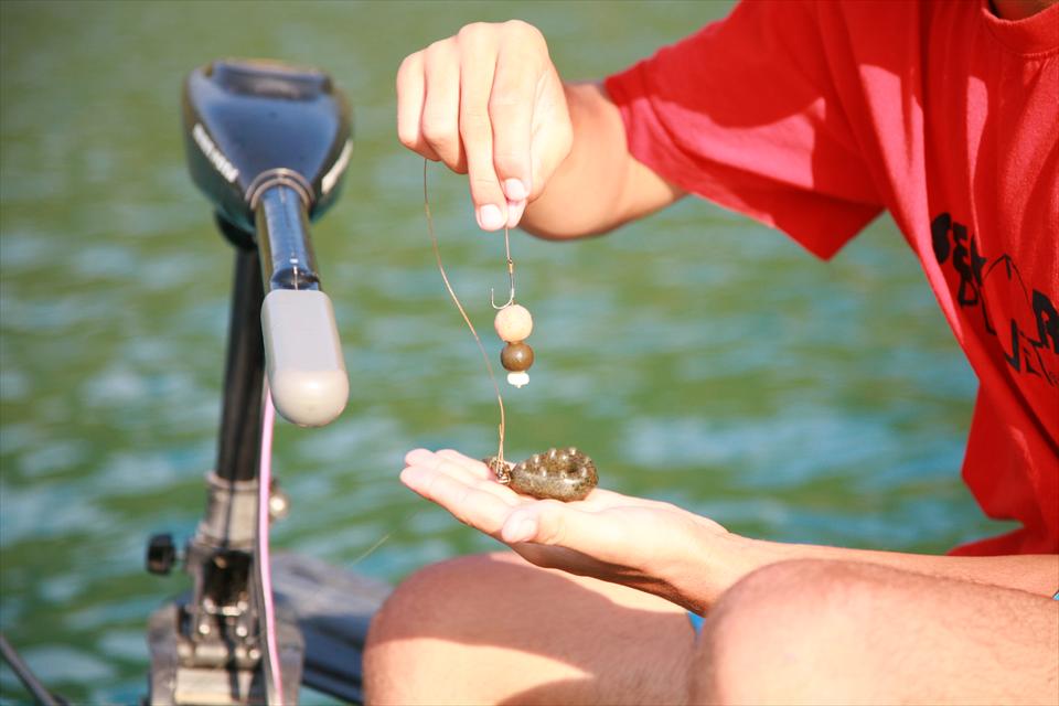 Montura cu fir de par in pescuitul cu boilies